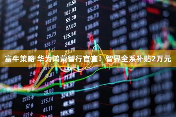 富牛策略 华为鸿蒙智行官宣！智界全系补贴2万元