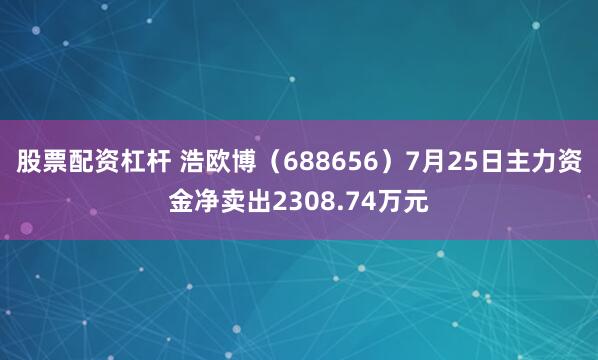 股票配资杠杆 浩欧博（688656）7月25日主力资金净卖出2308.74万元