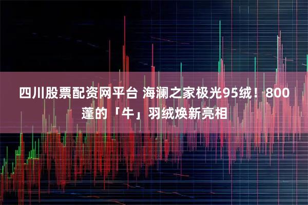 四川股票配资网平台 海澜之家极光95绒！800蓬的「牛」羽绒焕新亮相