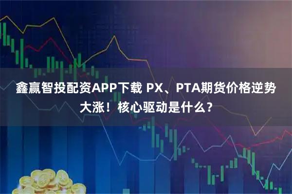鑫赢智投配资APP下载 PX、PTA期货价格逆势大涨！核心驱动是什么？