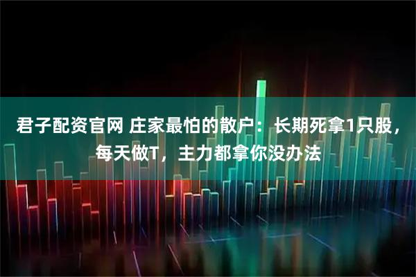 君子配资官网 庄家最怕的散户：长期死拿1只股，每天做T，主力都拿你没办法