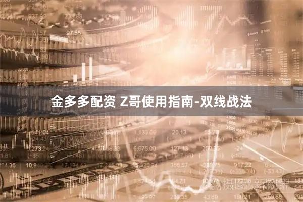 金多多配资 Z哥使用指南-双线战法