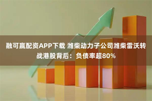 融可赢配资APP下载 潍柴动力子公司潍柴雷沃转战港股背后：负债率超80%