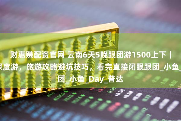 财惠赚配资官网 云南6天5晚跟团游1500上下｜洱海古城深度游，旅游攻略避坑技巧，看完直接闭眼跟团_小鱼_Day_普达
