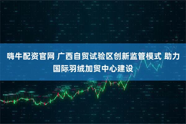 嗨牛配资官网 广西自贸试验区创新监管模式 助力国际羽绒加贸中心建设