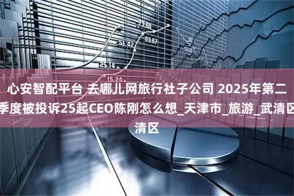 心安智配平台 去哪儿网旅行社子公司 2025年第二季度被投诉25起CEO陈刚怎么想_天津市_旅游_武清区